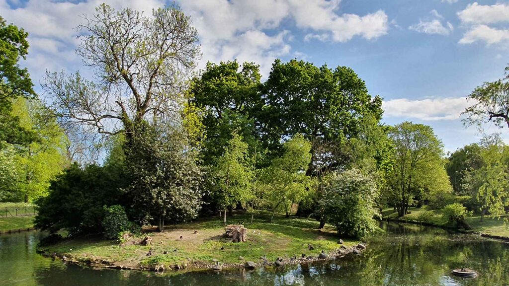 Wohlbefinden für Tier und Mensch von Sandra Engeli Neerach